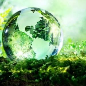 enteracciones de los seres vivos