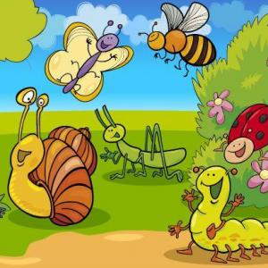 CONOCIENDO A LOS ANIMALES