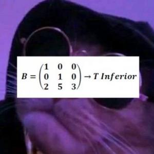 Matrices subiendo el nivel