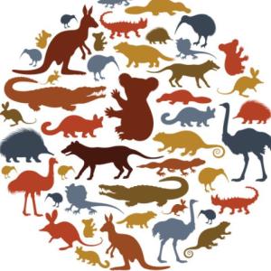 australian day