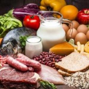 alimentos