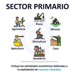 Juego de memorias - Contabilidad