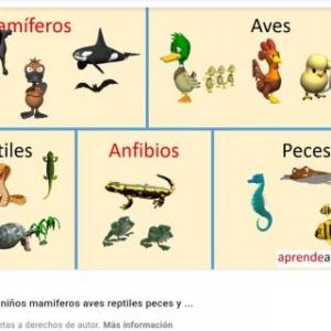 COINCIDENCIAS DE ANIMALES