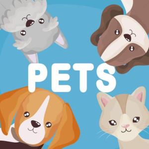 Portada del juego APRENDIENDO DE LOS ANIMALES – Lengua
