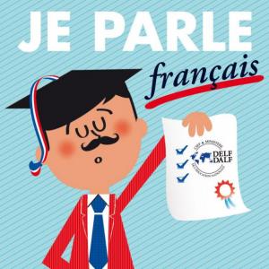 Le Cadre européen commun de référence pour les langues
