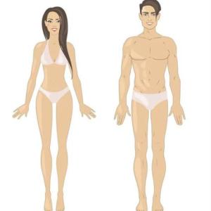 Portada del juego Aparatos y partes de los aparatos de nuestro cuerpo – Salud