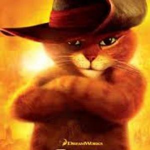 Portada del juego cat memory – Idiomas