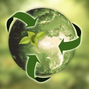 LA ECOLOGIA