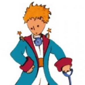 Memotes El principito y sus amigos