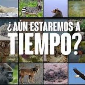 Animales en peligro de extinción