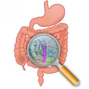INFECCIONES GASTROINTESTINALES