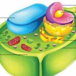 Biologia