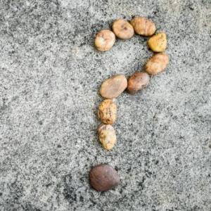 The Question