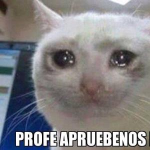 Las aventuras de ética y su amigos