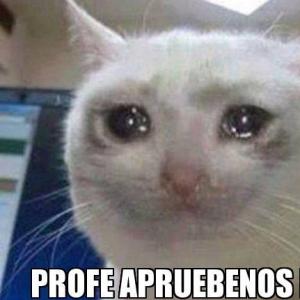 nueva etica