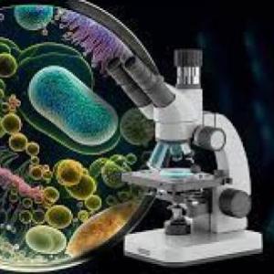 Imagen de portada del videojuego educativo: Partes del microscopio, de la temática Ciencias