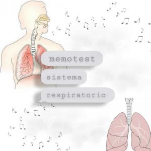Respiración