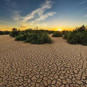 desertismo