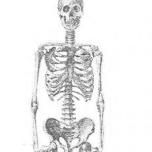 Imagen de portada del videojuego educativo: Lesiones óseas, de la temática Salud
