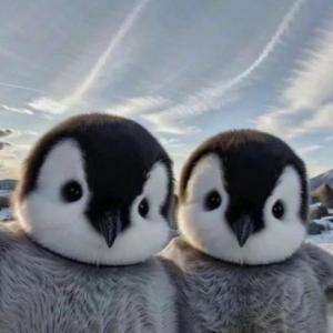 ¡¡¡¡Te amo mi amor !!!