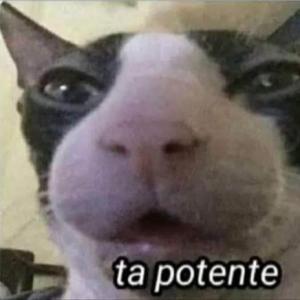 ¿Adivinaste?