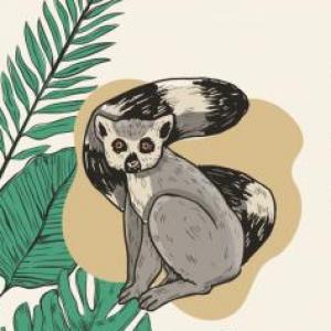 Protegemos a los animales en peligro de extinción