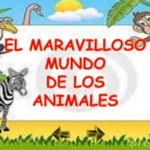 clasificación de los animales