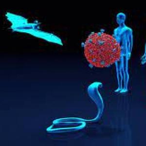 VIRUS TRANSMITIDOS POR ARTRÓPODOS Y ANIMALES.