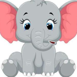 memorice animal