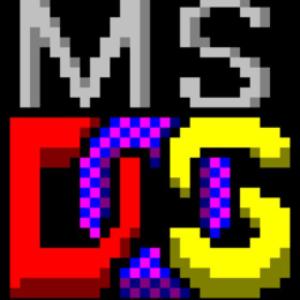 MS DOS