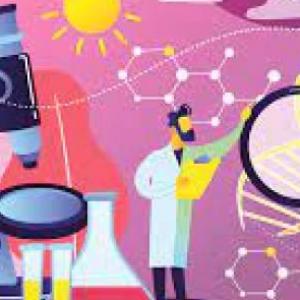 Repaso de ciencias naturales noveno