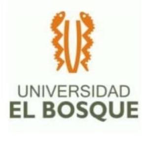 prueba de recursos digitales