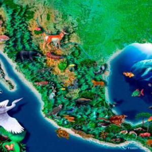 LA BIODIVERSIDAD
