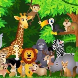MEMORIA ANIMALES DE LA SELVA