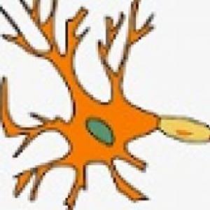¿cuáno sabemos del sistema nervioso?