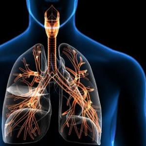 Mi sistema respiratorio