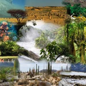 Test ecología 1