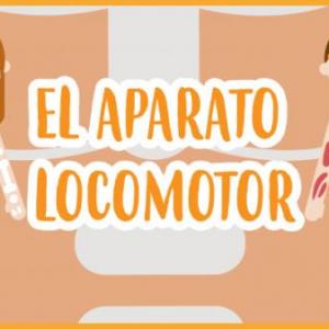 El sistema locomotor
