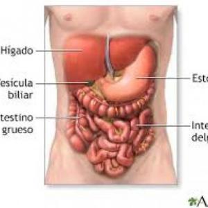 Nutrición Humana