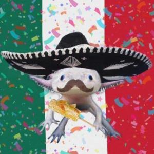 MEXICAN EATING HABITS