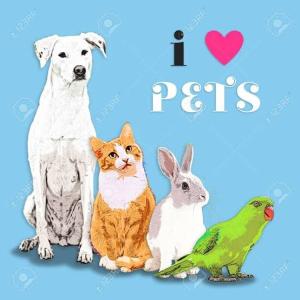 Conociendo los animales