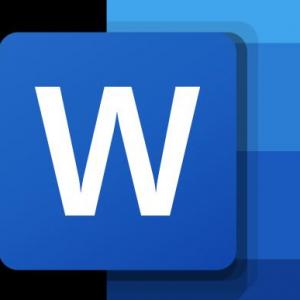 MS Word
