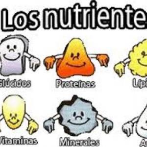 Imagen de portada del videojuego educativo: LOS NUTRIENTES , de la temática Salud