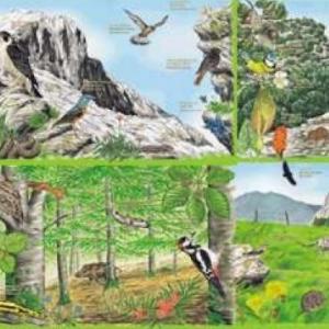 Imagen de portada del videojuego educativo: Guía de Ciencias Naturales, de la temática Biología