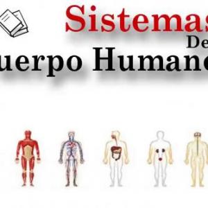Imagen de portada del videojuego educativo: FUNCIÓN DE LOS SISTEMAS DEL CUERPO HUMANO, de la temática Ciencias