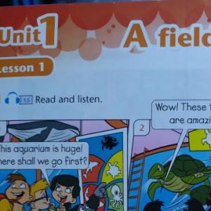 Imagen de portada del videojuego educativo: Revision UNIT 1, de la temática Idiomas