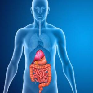 Enfermedades del Sistema Digestivo