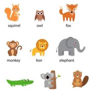 Juego de adivinar el animal