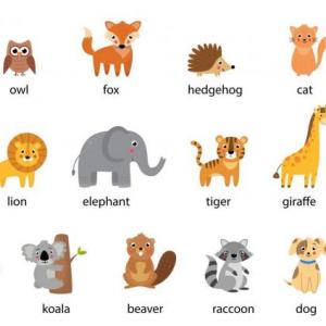 ¿Cuanto sabes de los animales?