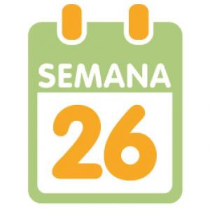 SEMANA 26